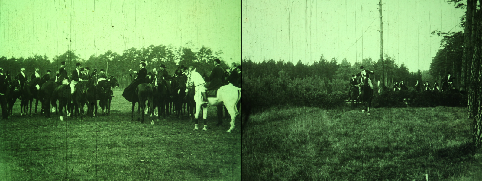 frames of the nitrate print